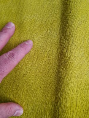 Pele de cavalo com pêlo cor amarelo