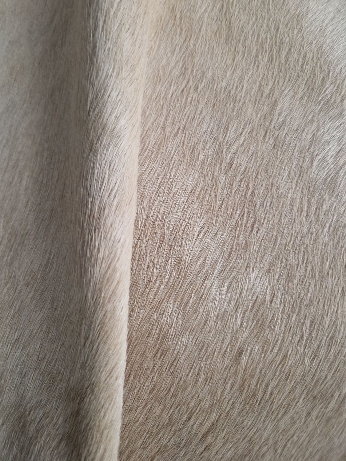 Leather horse with hair cream color