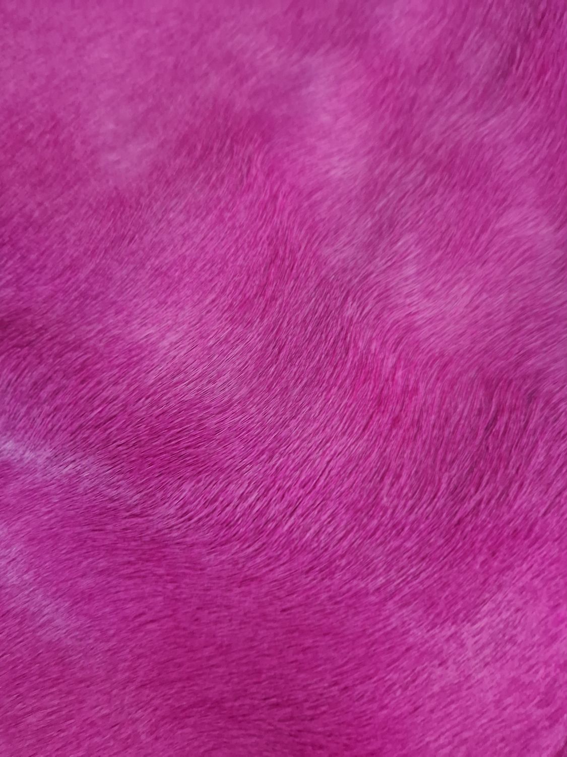Piel de caballo con pelo color rosa chock