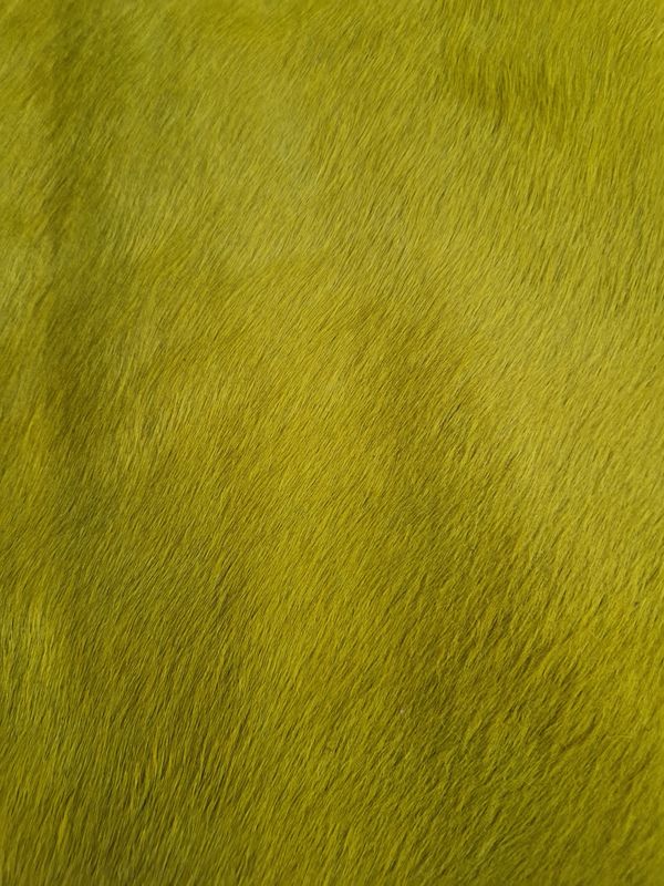 Peau de cheval avec poils couleur jaune