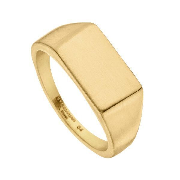 Herrenring Edelstahl