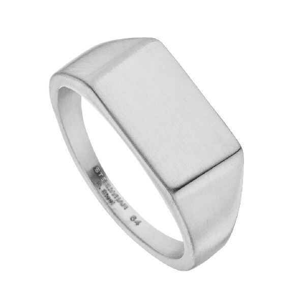 Herrenring Edelstahl