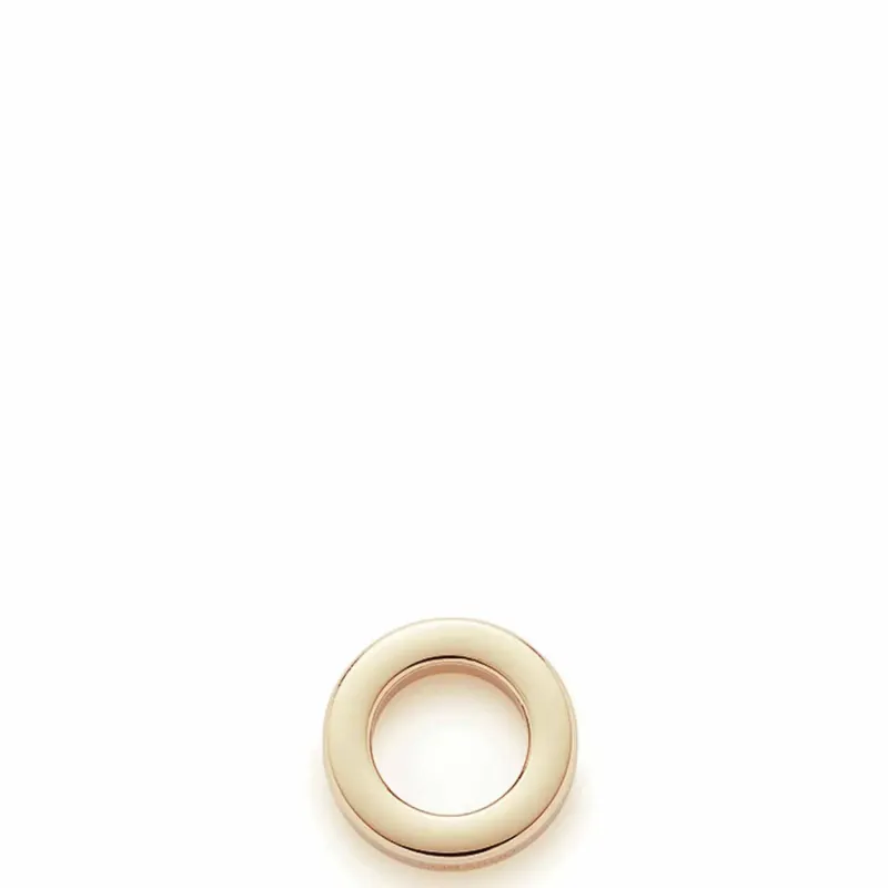 Leonardo Edelstahlring gold klein flach