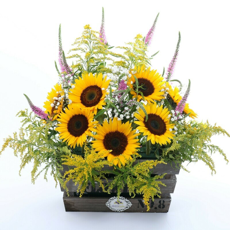 Girasoles en caja de madera - Sunnyka