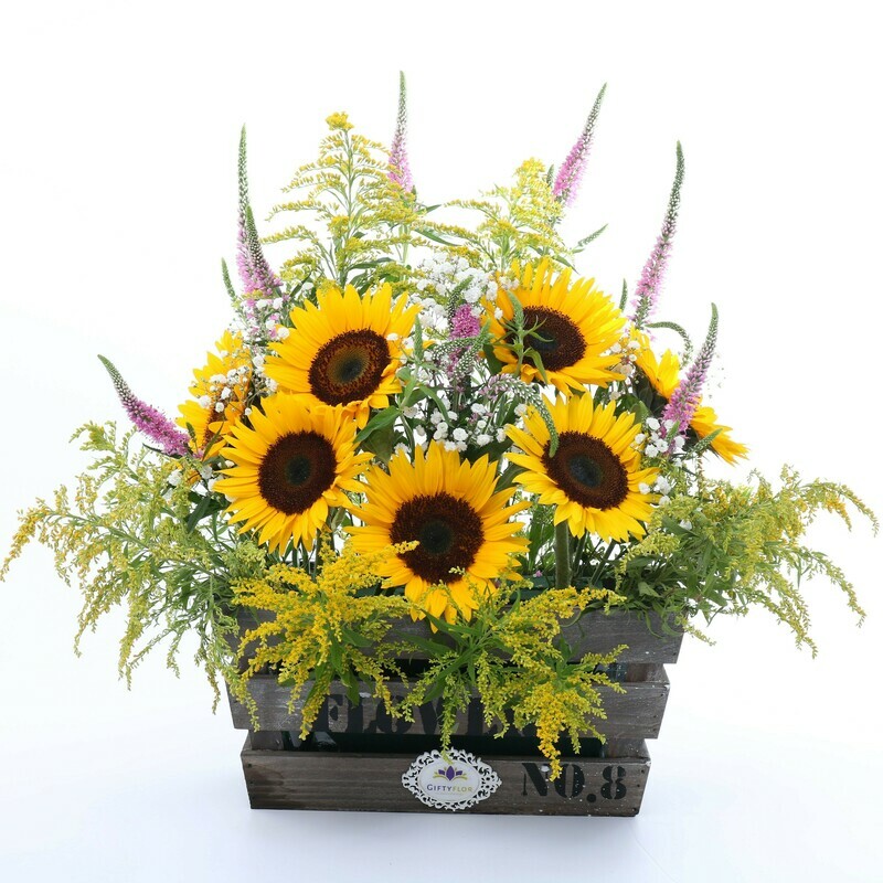 Girasoles en caja de madera - Sunnyka
