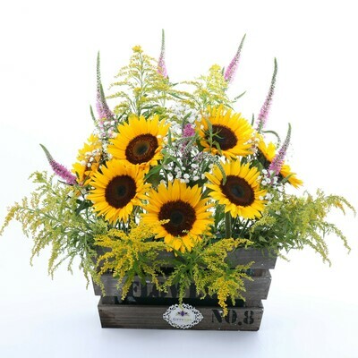 Girasoles en caja de madera - Sunnyka
