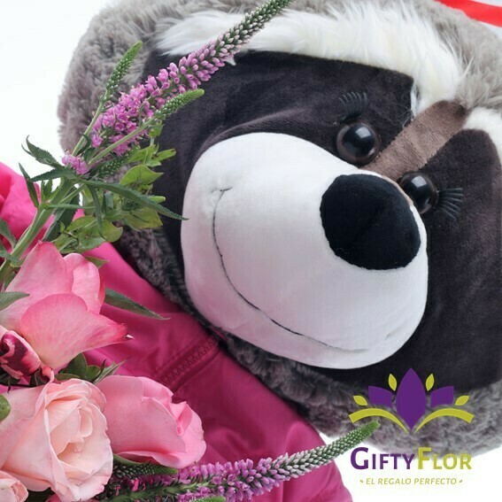 Peluche Mapache | Goossy