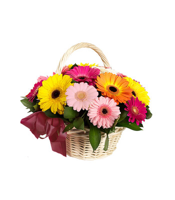 gerberas en canasta