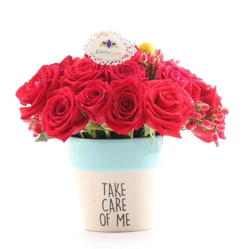 Friendly Arreglo de rosas Rojas en macetero ceramico
