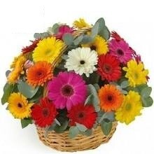 Tubby | Gerberas en canasta