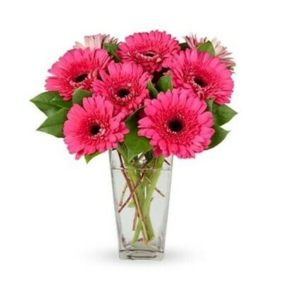 Delirium Gerberas en Florero