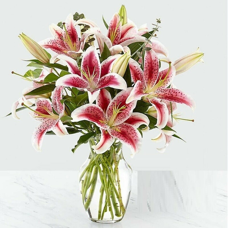 Eva Lirios y Follaje en fino Florero de vidrio