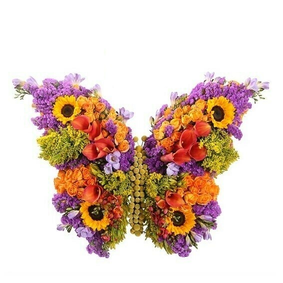Nuestro Aniversario: Mariposa | Florerias en Lima | Giftyflor