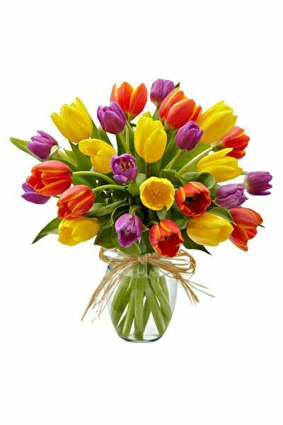 Melany – Multicolor Tulip Arrangement