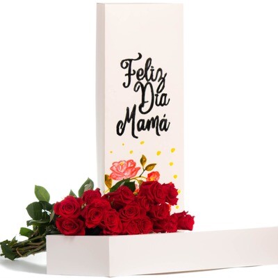 Caja 20 Rosas Rojas - Pintada a mano Floral