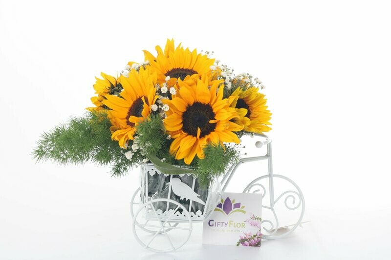 Girasoles en bicicleta de Metal - Sunny
