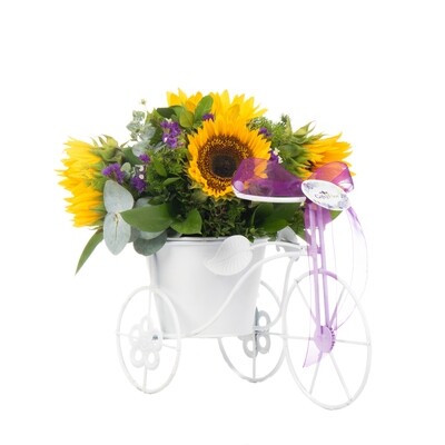Girasoles en bicicleta de Metal - Sunny