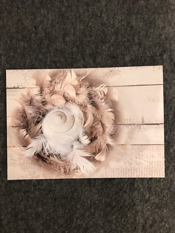 POSTKARTE NEUTRAL