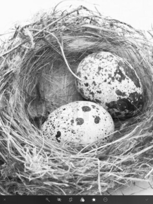 FRÜHLING- UND OSTERDEKO