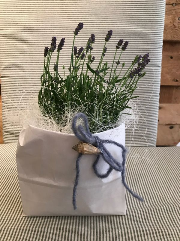LAVENDEL IM TÄSCHLI