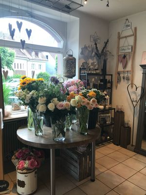 BLUMEN UND PFLANZEN