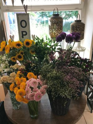 BLUMEN UND PFLANZEN