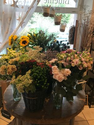 BLUMEN UND PFLANZEN