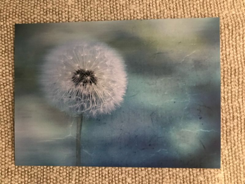 POSTKARTE NEUTRAL