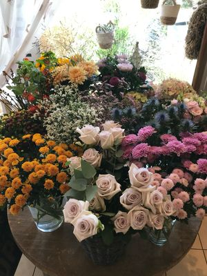 BLUMEN UND PFLANZEN
