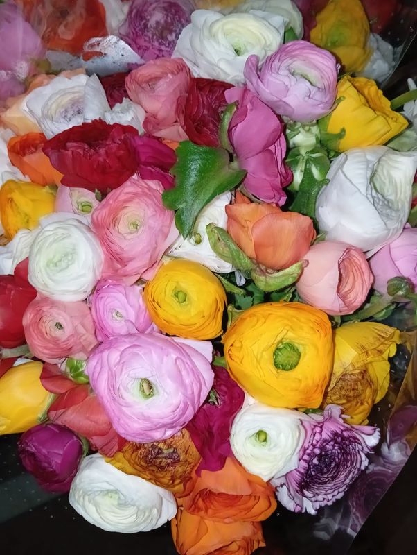 VINTAGE STRÜSSLI WOCHENANGEBOT / RANUNKELI MIX AND MATCH UND EUCALYPTUS