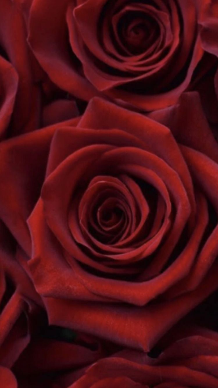 VINTAGE - STRÜSSLI " ROSEN - LIEBI "