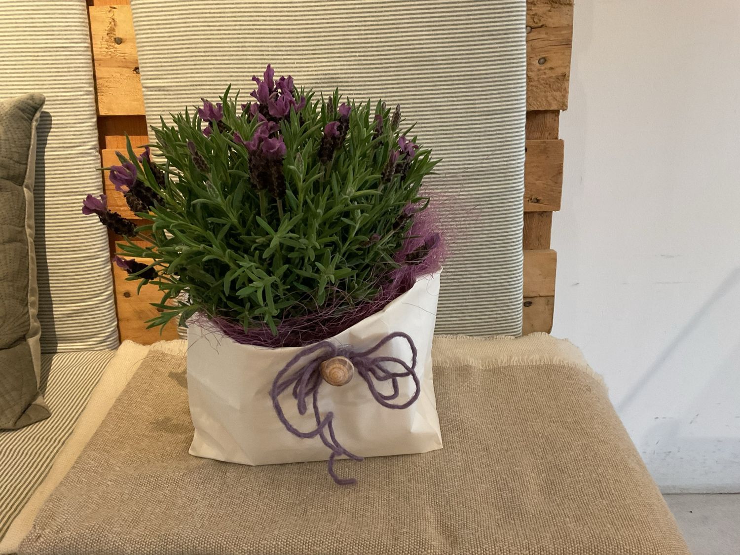 SCHMETTERLINGSLAVENDEL IM TÄSCHLI