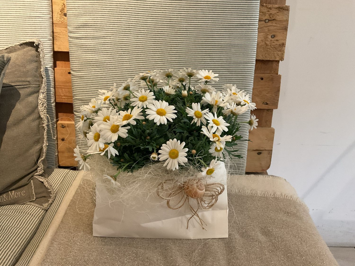 MARGERITE IM TÄSCHLI