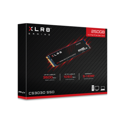 PNY 250GB M.2 NVMe M280CS3030-250-RB