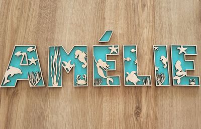 Grandes lettres 20 CM thème et couleurs au choix