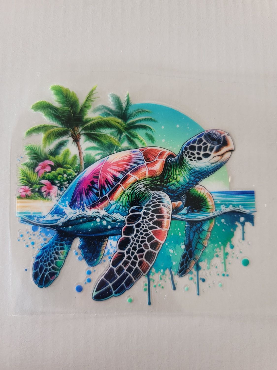 Tortue