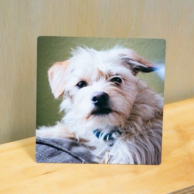 6x6 Photo Print on Aluminum