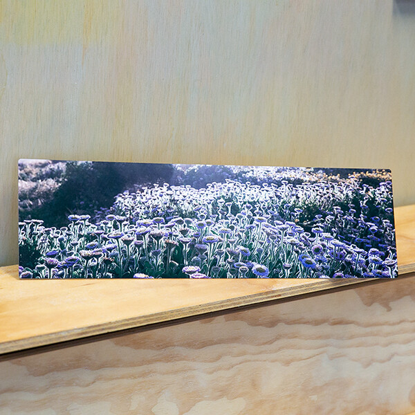 5x17 Photo Print on Aluminum