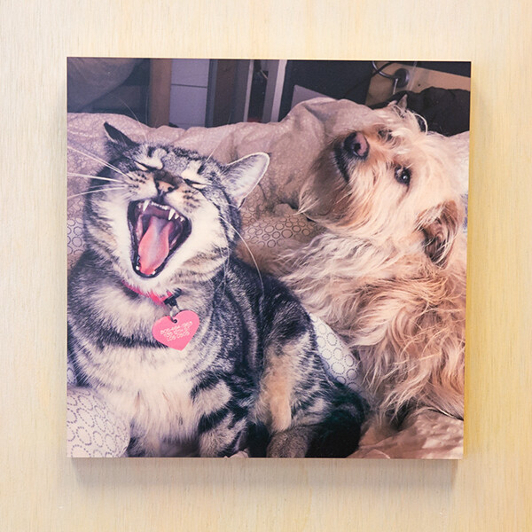 8x8 Wood Photo Print