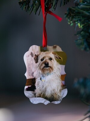 Double sided Photo Ornament Benelux Style Vertical