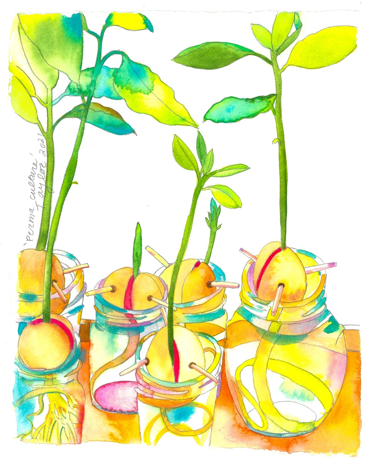 Sprouting Love - Print on Aluminum