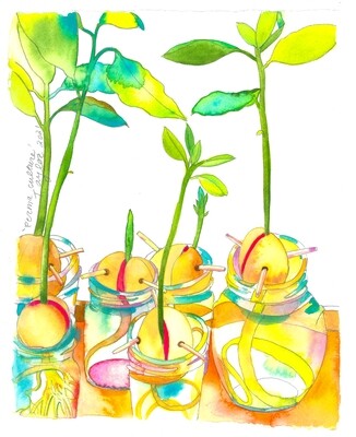 Sprouting Love - Print on Aluminum