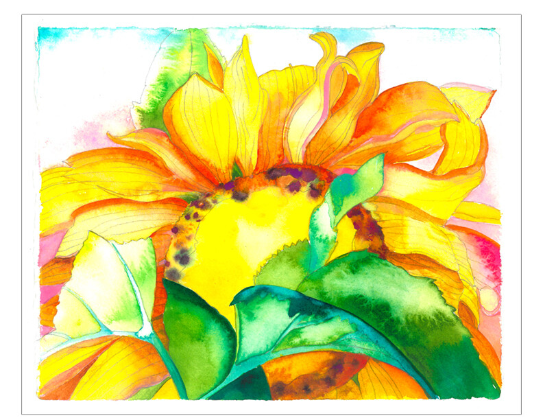 Tracy Taylor A Sunflower - Ready to Hang Aluminum Print