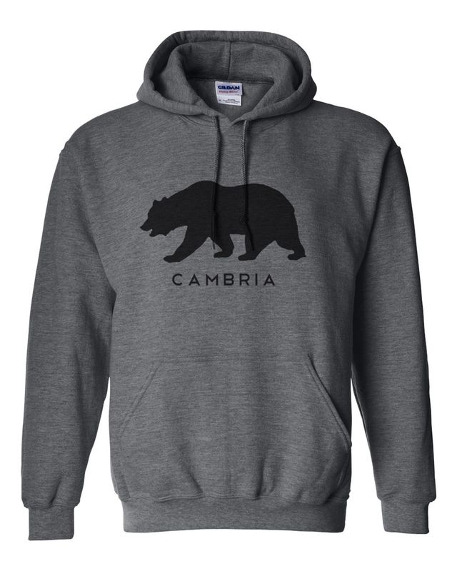 Cambria Bear Graphic Hoodie