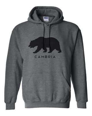 Cambria Bear Graphic Hoodie