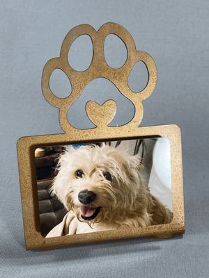 Regular Stand Up with 2x3 Print - Paw Design
