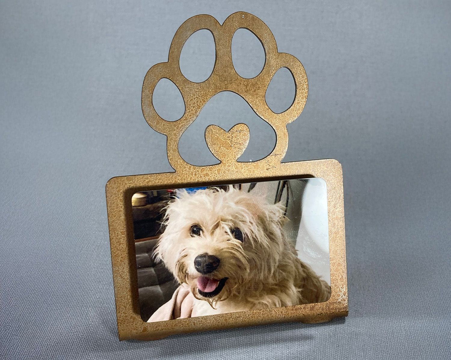 Regular Stand Up with 2x3 Print - Paw Design