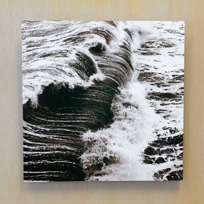 12x12 Photo Print on Aluminum 12x12 Photo Print on Aluminum