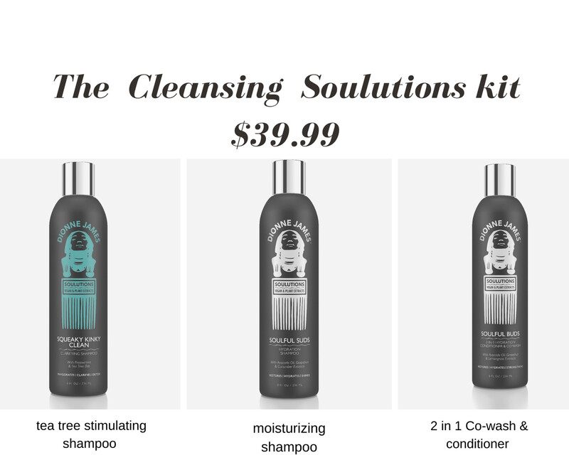 The Cleansing Soulution
