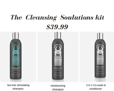 The Cleansing Soulution